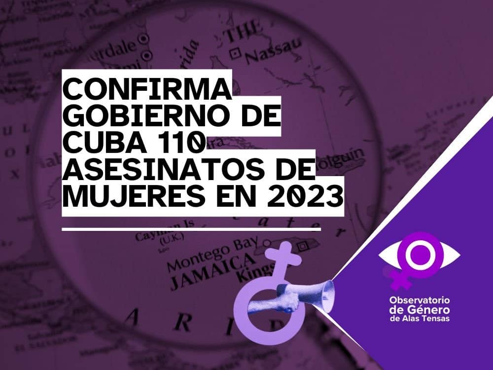 Portada de infografía sobre datos oficiales de feminicidios